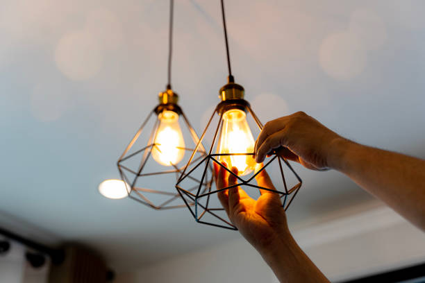 Best Residential Electrician Services  in Viola, NY
